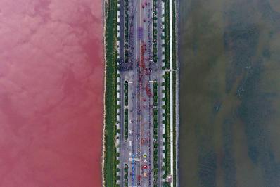 جاده سرخابی /عکس هوایی از جاده‌ای وسط دریاچه نمک در چین که توسط جلبک‌های رنگی به رنگ صورتی درآمده است
