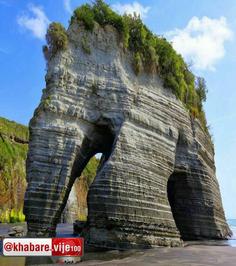  صخره ائی شبیه به یک فیل_نیوزلند
