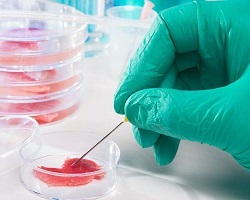 حضور متخصصان هفت کشور در کنگره علوم زیست پزشکی اصفهان