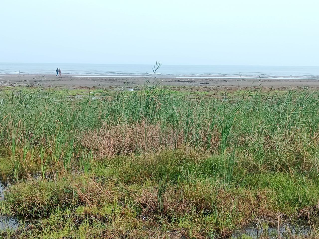 عقب‌نشینی ۲۰۰ متری خزر در شمال کشور/هشدار بزرگ برای شمال ایران