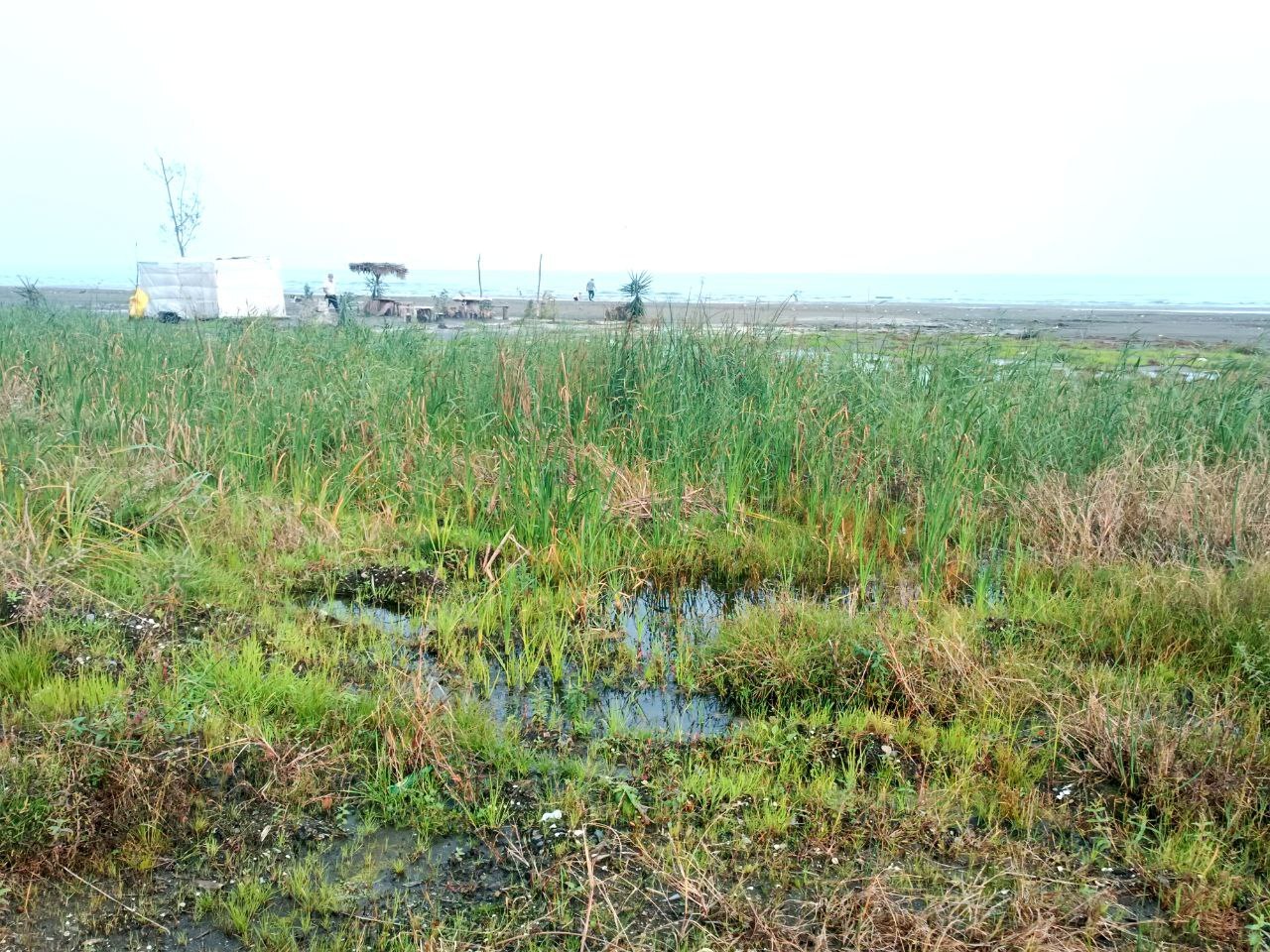 عقب‌نشینی ۲۰۰ متری خزر در شمال کشور/هشدار بزرگ برای شمال ایران