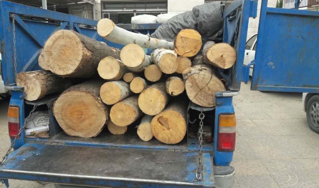 بیش از ۲ تن الوار جنگلی قاچاق در  اردبیل کشف شد