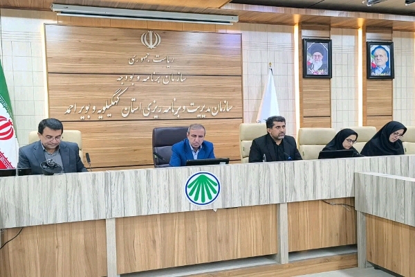 ۹۸ درصد درآمدهای کهگیلویه و بویراحمد از مالیات تأمین میشود/ نسخه ستاد درآمد برای افزایش وصول منابع