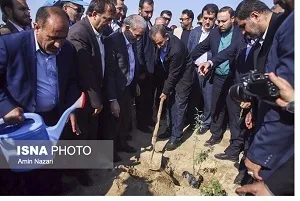 عملیات نهال کاری سال 97 در کانون‌‌های ریزگرد اهواز آغاز شد
