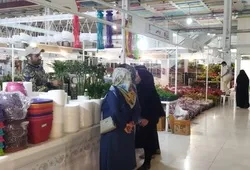 آغاز به کار نمایشگاه ملی گل و گیاه در ارومیه