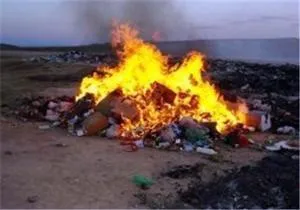 ۲۴ تن موادغذایی در جنوب غرب خوزستان منهدم شد
