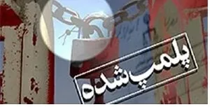 پلمپ 13 واحد صنفی متخلف در ماهشهر
