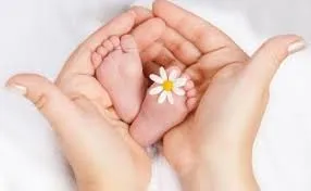 نرخ باروری در خراسان جنوبی کاهش یافته است