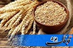 رتبه اول بافق در پرداخت زکات
