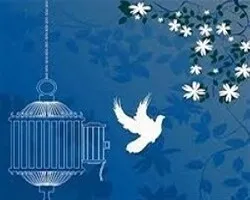 زمینه آزادی 16 زندانی جرائم غیر عمد
