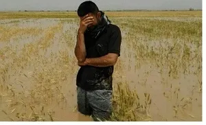 خسارت 2 هزار میلیاردی سیل به کشاورزی خوزستان/ آغاز پرداخت خسارت سیل سال 97 خوزستان