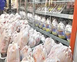 خرید مرغ فقط در سامانه رهتاب