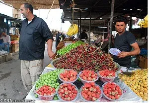 قیمت میوه در بازار نسبتا متعادل است