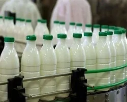 صادرات بیش از 810 هزار کیلوگرم مواد لبنی از گلپایگان