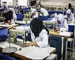 ایجاد 10 هزار و 455 فرصت شغلی در دستور کار کمیته امداد