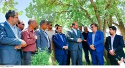 احداث پل کِلو در دنا هم زیبایی می‌آفریند هم به دیدن زیبایی‌های کمک می‌کند
