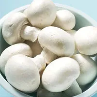 مصرف قارچ از بروز آلزایمر پیشگیری میکند