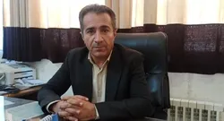 مشکلی در تامین مرغ نداریم