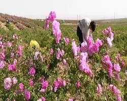 اهدای بیش از 11 هزار قلم لوازم ضروری زندگی به مددجویان اصفهانی