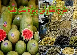 نظارت ها بر بازار شب یلدا ادامه دارد