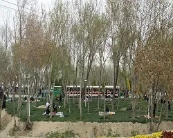 چهارشنبه سوری ورودی ناژوان اصفهان مسدود می شود