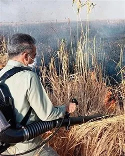 آتش سوزی در پارک ملی دریاچه ارومیه مهار شد