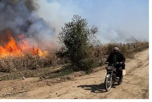 لزوم پرداخت عوارض آلایندگی شرکت های نیشکر به شادگان