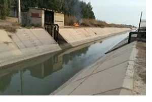 قربانی‌ کردن ماهی‌های خوزستان به پای ریزگردها/ عجله مدیران باز هم مشکل آفرید