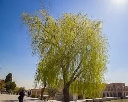 هوای اصفهان در وضعیت سالم